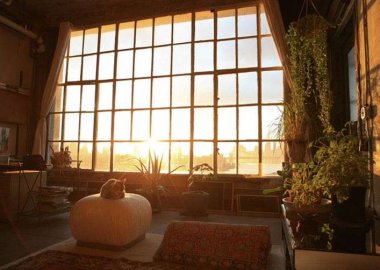 Tall  room with  natural light and plants