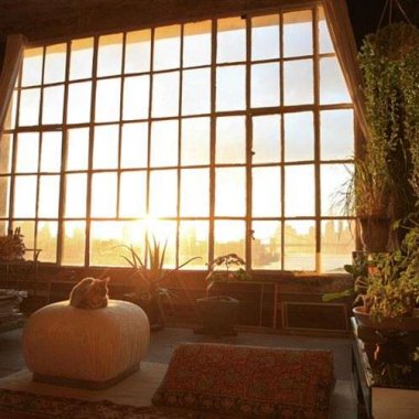 Tall  room with  natural light and plants
