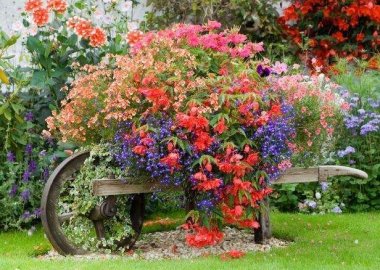 wooden wheelbarrow with flowers