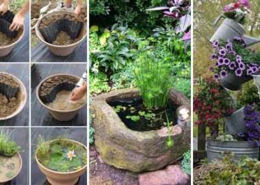 mini-pond-in-a-pot-woohome-0