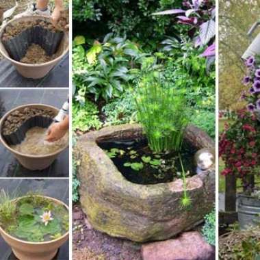 mini-pond-in-a-pot-woohome-0