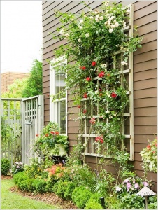 15 Unique Trellis Ideas for Your Home's Garden