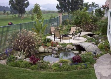 backyard-pond-water-garden-4