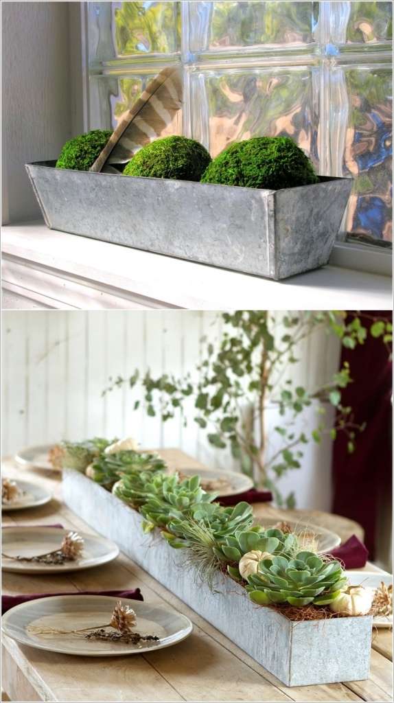 13 Cool Long Planter Ideas for Keen Gardeners