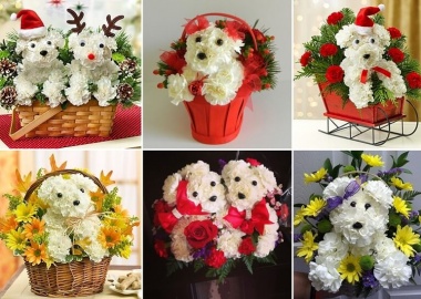 These Puppy Bouquets Are Guaranteed to Be a Party Decor Hit fi