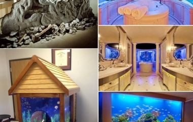 These Crazy Home Aquariums Will Take Your Breath Away fi