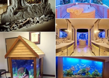 These Crazy Home Aquariums Will Take Your Breath Away fi