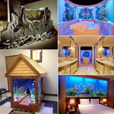 These Crazy Home Aquariums Will Take Your Breath Away fi