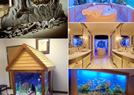 These Crazy Home Aquariums Will Take Your Breath Away fi