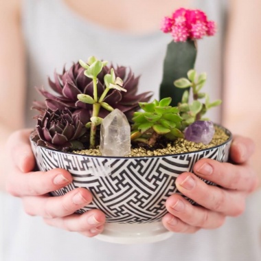 20 Cool Ideas to Make Your Own Terrarium fi