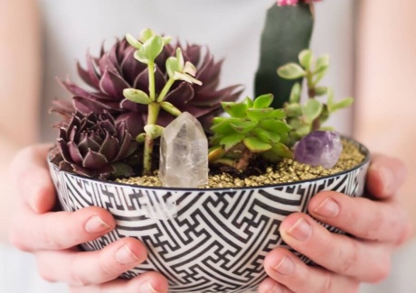 20 Cool Ideas to Make Your Own Terrarium fi