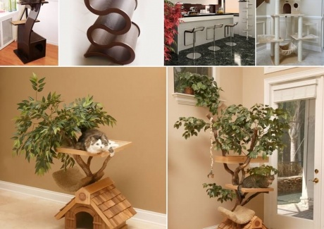 Cool Cat Tree Furniture Designs Your Cat Will Love fi