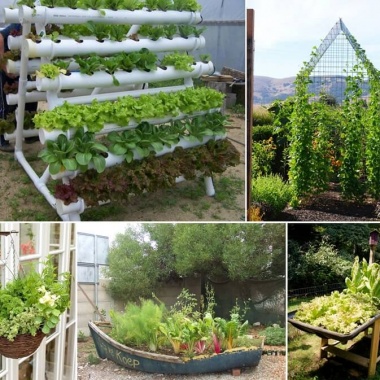 Grow An Unusual Vegetable Garden fi