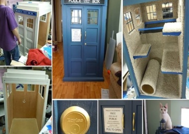 Look! Here is A Cool Tardis Cat Fort Project fi