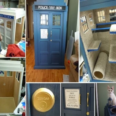 Look! Here is A Cool Tardis Cat Fort Project fi