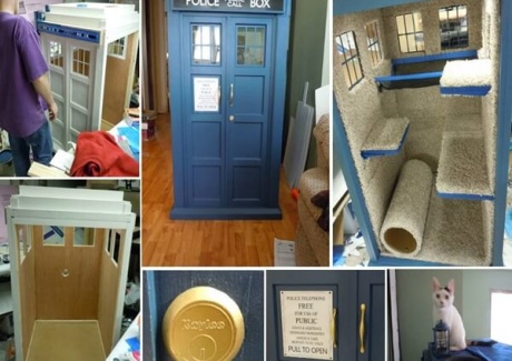 Look! Here is A Cool Tardis Cat Fort Project fi