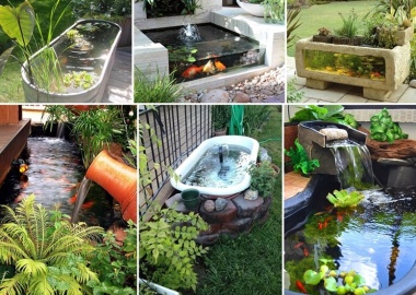 Over 21 Beauteous Backyard Aquarium Ideas fi