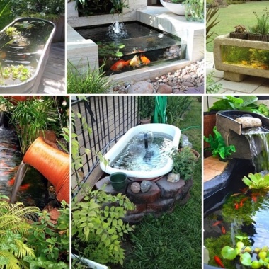 Over 21 Beauteous Backyard Aquarium Ideas fi