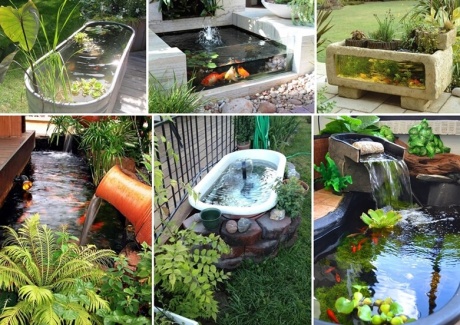 Over 21 Beauteous Backyard Aquarium Ideas fi