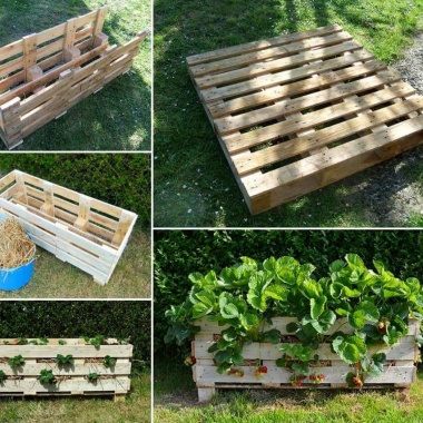 Make This amazing Strawberry Planter from a Single Pallet fi