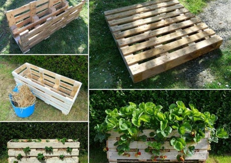 Make This amazing Strawberry Planter from a Single Pallet fi