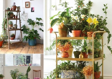 13 Fresh Ideas for Indoor Planter Stands fi