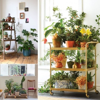 13 Fresh Ideas for Indoor Planter Stands fi