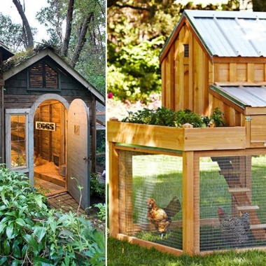 7 Chicken Coop Designs That Are Simply Amazing fi