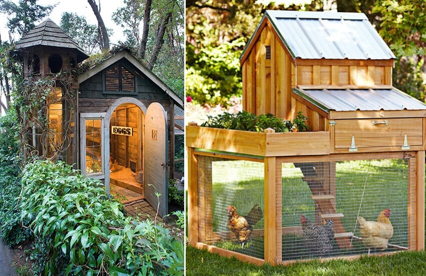 7 chicken coop designs that are simply amazing