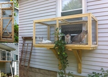 Build a Catio for Your Cat to Enjoy fi