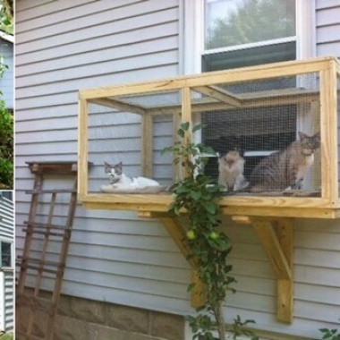 Build a Catio for Your Cat to Enjoy fi