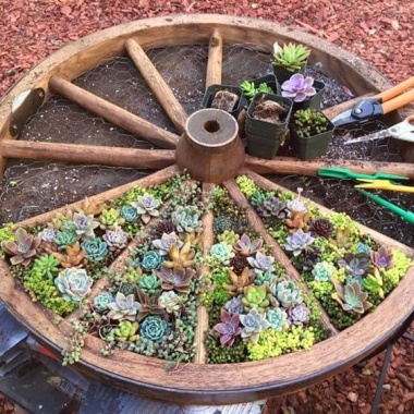 10 Things to Use for Making a Round Garden Bed fi