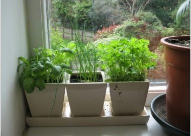 12 Cool Small Herb Gardens That Won't Take Much Space 12