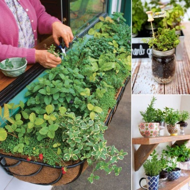 12 Cool Small Herb Gardens That Won't Take Much Space fi