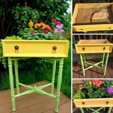 Recycle A Drawer into a Mini Garden fi