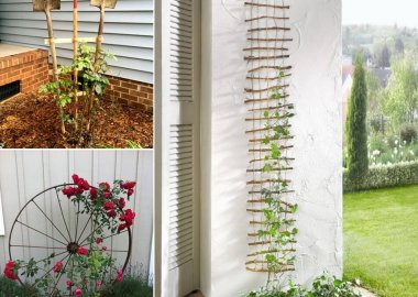 10 Easy Yet Beautiful DIY Garden Trellis Projects fi