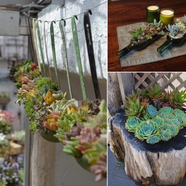 10 Cool Succulent Planter Ideas for Your Home fi