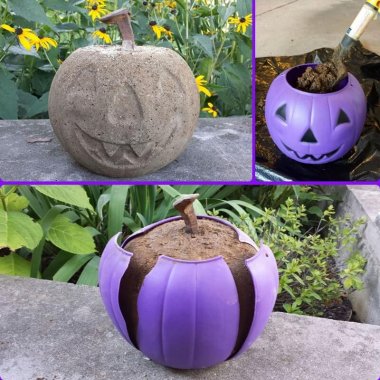 This Concrete Pumpkin Idea is Simply Superb fi