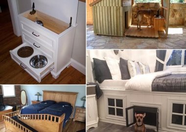 10-cool-diy-pet-projects-for-your-furry-friends-fi