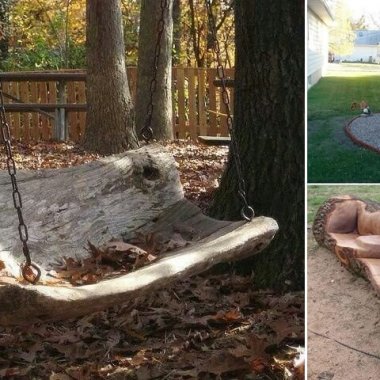 10-cool-home-decor-projects-made-from-a-fallen-tree-fi