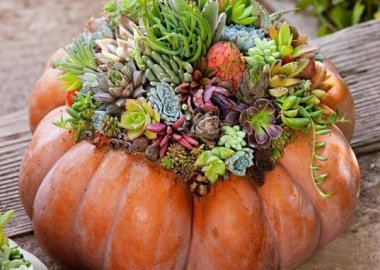 10-creative-ways-to-craft-pumpkin-centerpieces-this-fall-fi