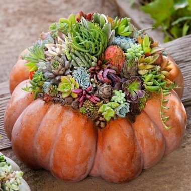10-creative-ways-to-craft-pumpkin-centerpieces-this-fall-fi