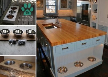 dog-feeding-station-ideas-you-will-like-fi