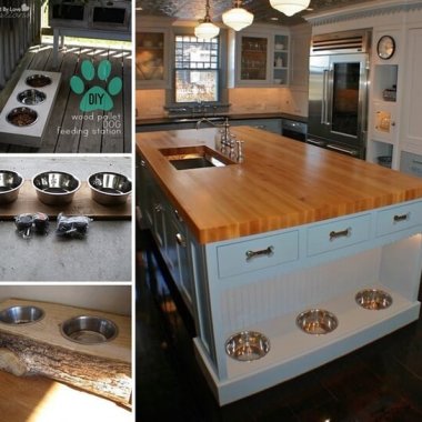 dog-feeding-station-ideas-you-will-like-fi