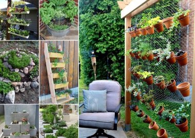 Grow a Wonderful Herb Garden in Your Backyard fi