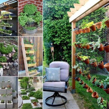Grow a Wonderful Herb Garden in Your Backyard fi