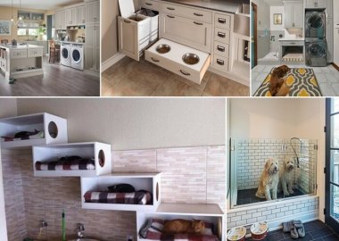 Carve Out Some Space in Your Laundry Room for Your Pets fi