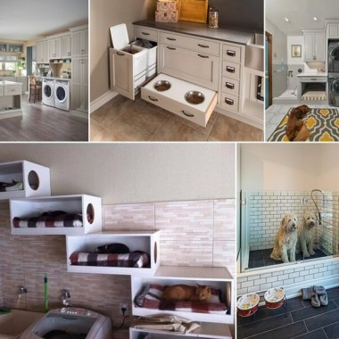 Carve Out Some Space in Your Laundry Room for Your Pets fi