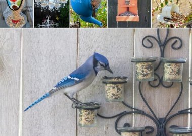 Easy Upcycled Bird Feeders for Your Garden fi