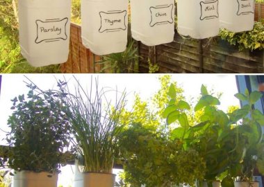 Decorate Your Home with Recycled Plastic Milk Bottles fi